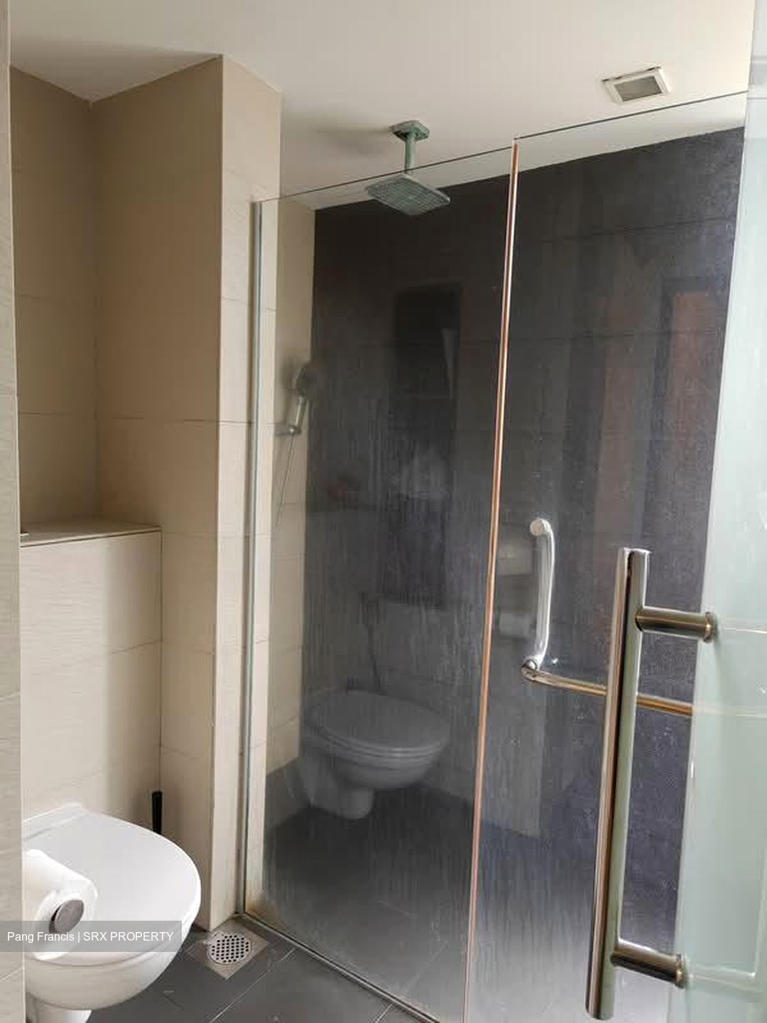 Pandan Valley (D21), Condominium #586152961